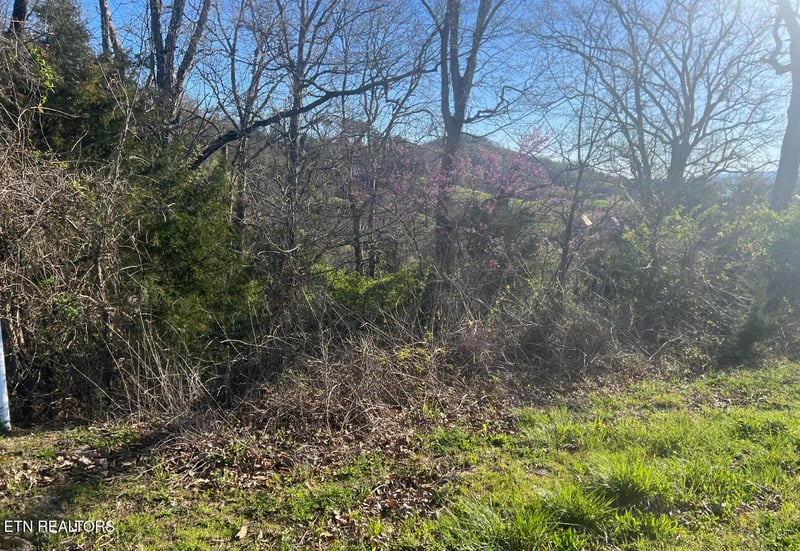 lot 356R Larayne Hollow Rd, Sharps Chapel, TN 37866