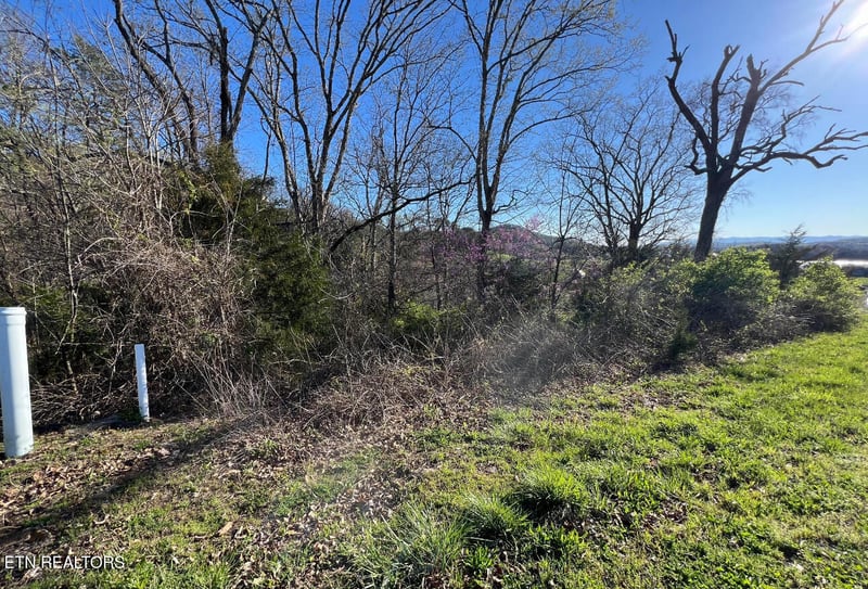 lot 356R Larayne Hollow Rd, Sharps Chapel, TN 37866