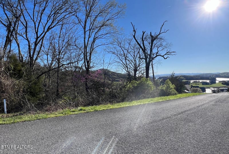 lot 356R Larayne Hollow Rd, Sharps Chapel, TN 37866