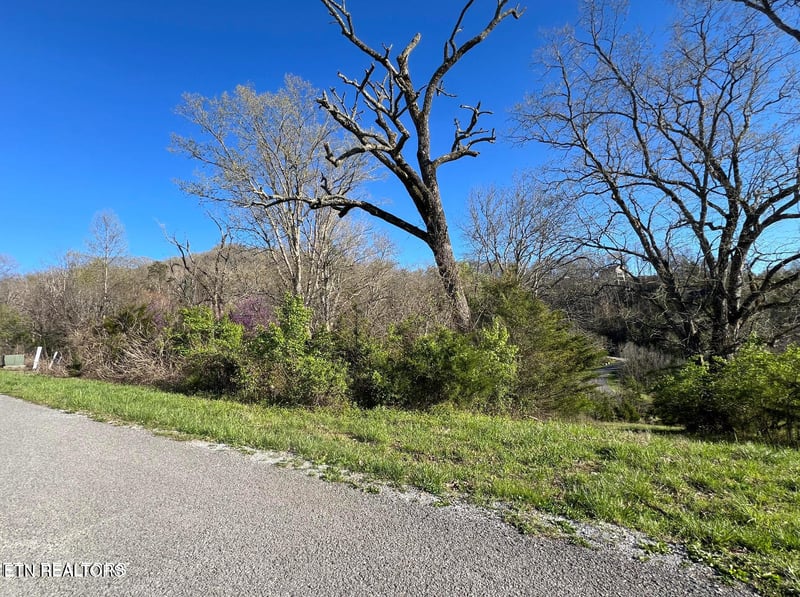 lot 356R Larayne Hollow Rd, Sharps Chapel, TN 37866