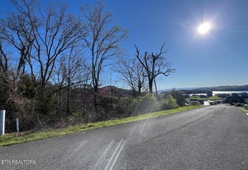 lot 356R Larayne Hollow Rd, Sharps Chapel, TN 37866