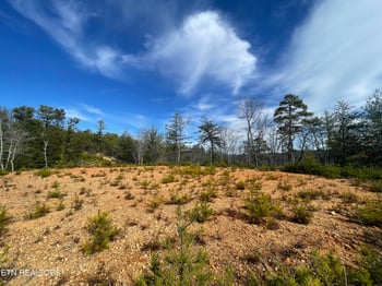 Lot 36 Bullet Mountain Dr, Tellico Plains, TN 37385