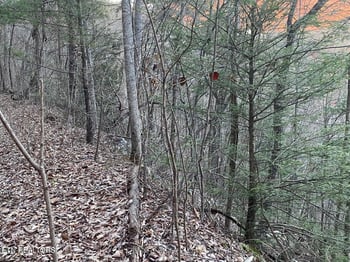 Lot 36 Elderberry Dr, Sevierville, TN 37876
