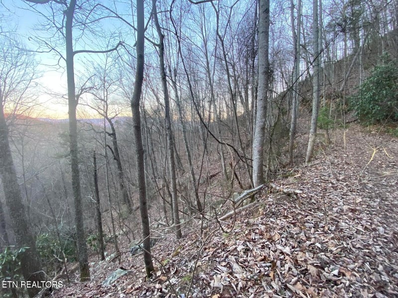 Lot 36 Elderberry Dr, Sevierville, TN 37876