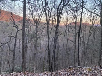 Lot 36 Elderberry Dr, Sevierville, TN 37876