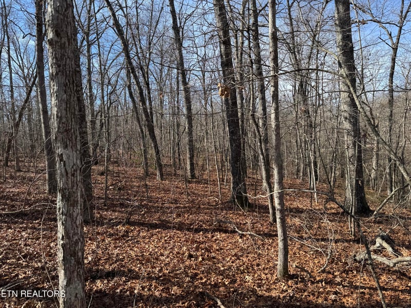 Lot 37 Crystal Point, Monterey, TN 38574