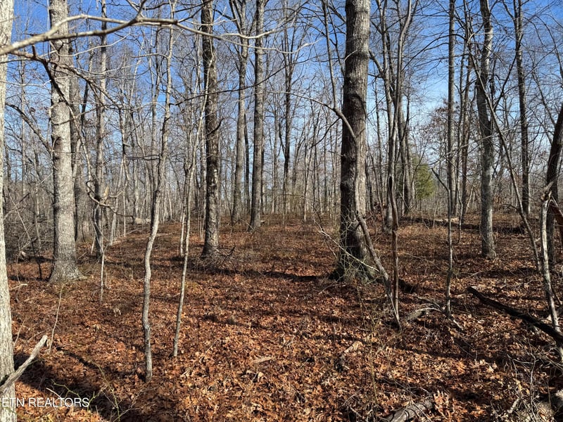 Lot 37 Crystal Point, Monterey, TN 38574