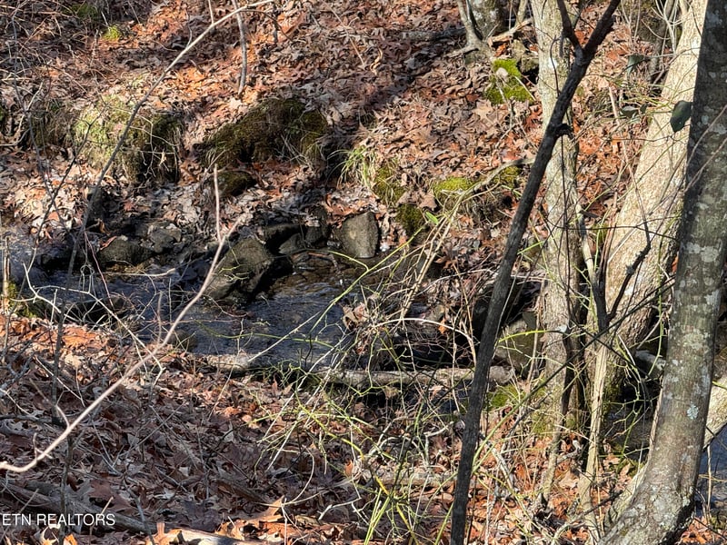 Lot 37 Crystal Point, Monterey, TN 38574