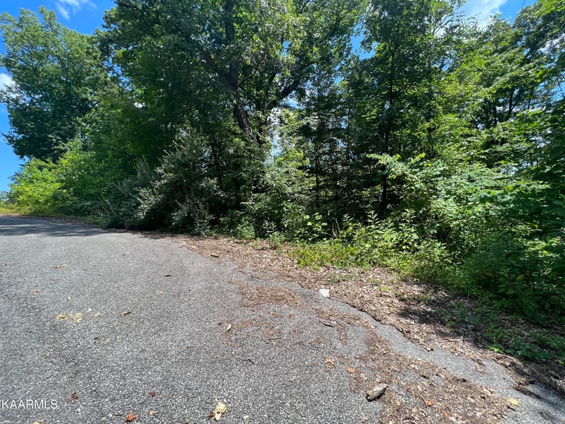lot 37 Pinnacle Ln, Lafollette, TN 37766