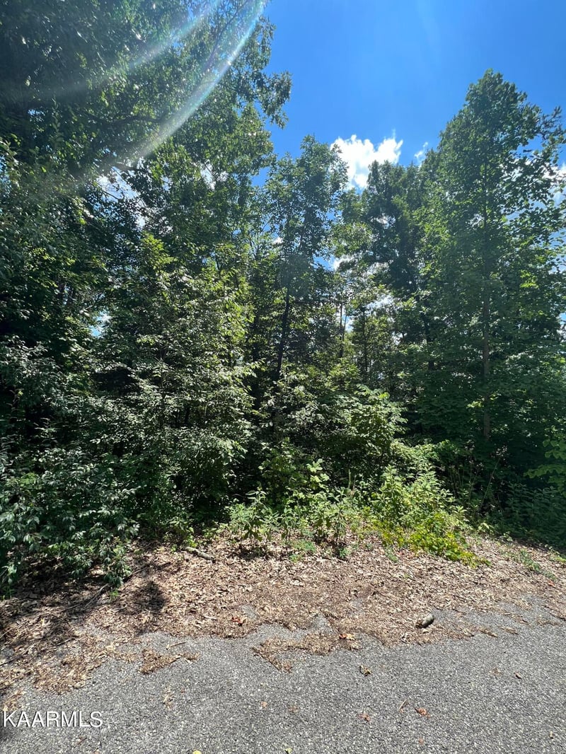 lot 37 Pinnacle Ln, Lafollette, TN 37766