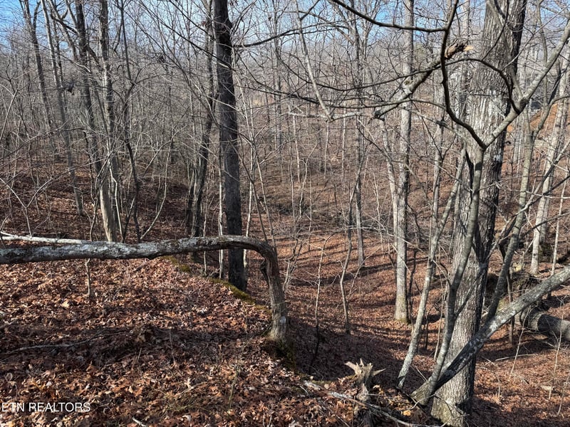Lot 38 Crystal Point, Monterey, TN 38574
