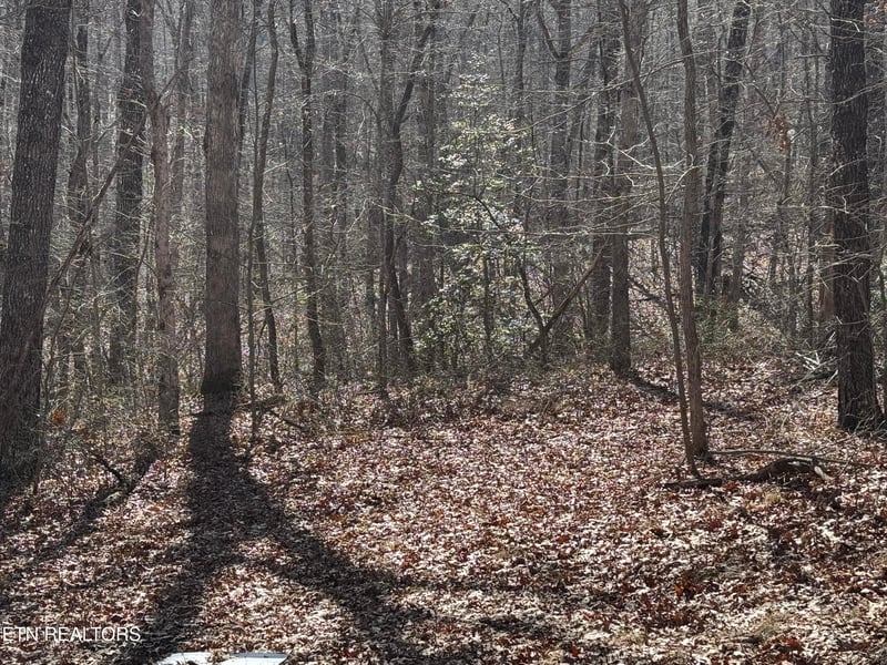Lot 38 Crystal Point, Monterey, TN 38574