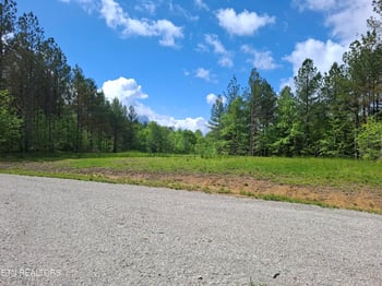 Lot 38 Stonecipher Ct, Sunbright, TN 37872