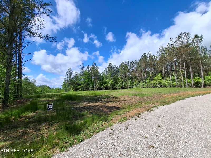 Lot 38 Stonecipher Ct, Sunbright, TN 37872