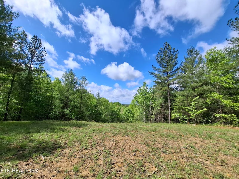 Lot 38 Stonecipher Ct, Sunbright, TN 37872