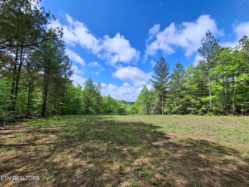 Lot 38 Stonecipher Ct, Sunbright, TN 37872