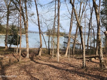 Lot 39 E Shore Dr, Rockwood, TN 37854