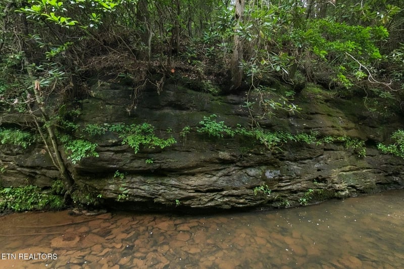 Lot 39 Stonecipher Ct, Sunbright, TN 37872