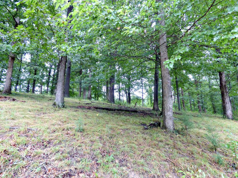 Lot 39 Stonehenge Way, Dandridge, TN 37725