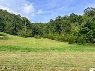 Lot 398 W Mountain Dr, Rockwood, TN 37854