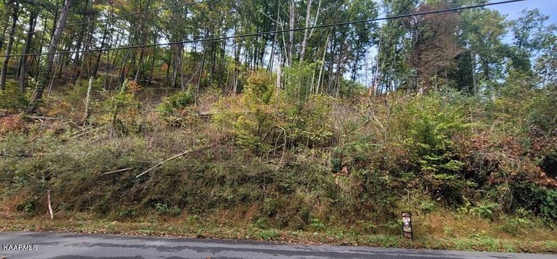Lot 3BD Walker Trl, Sevierville, TN 37876