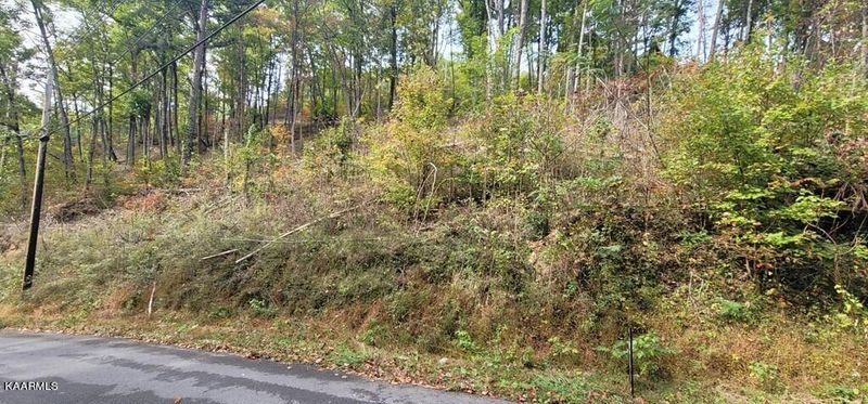 Lot 3BD Walker Trl, Sevierville, TN 37876