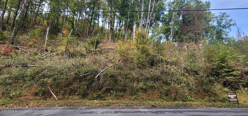 Lot 3BD Walker Trl, Sevierville, TN 37876