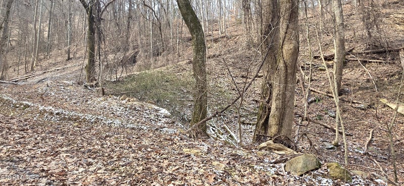 Lot 4 Balsam Slopes Rd, Sevierville, TN 37862