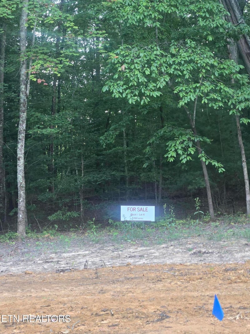 Lot 4 Bk I Ravenwood Dr, Wartburg, TN 37887
