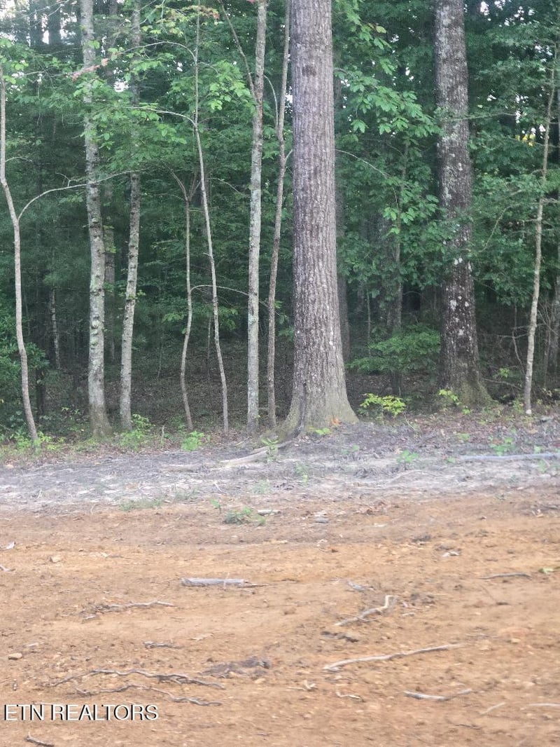Lot 4 Bk I Ravenwood Dr, Wartburg, TN 37887