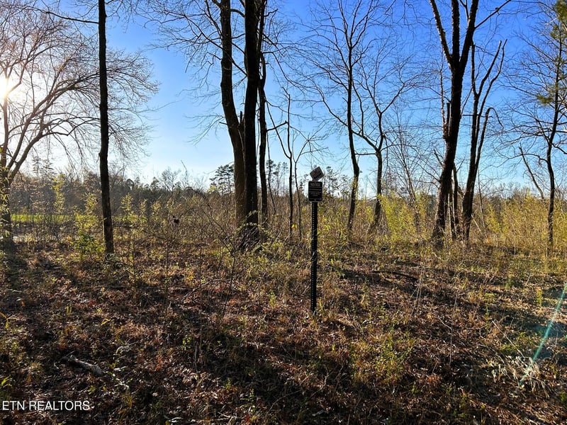 Lot 4 County Road 950, Calhoun, TN 37309