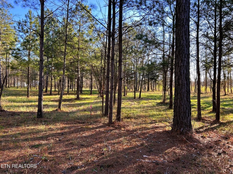 Lot 4 County Road 950, Calhoun, TN 37309