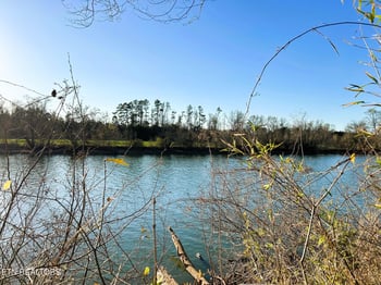 Lot 4 County Road 950, Calhoun, TN 37309