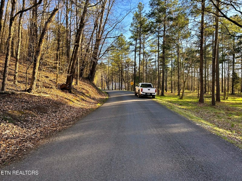 Lot 4 County Road 950, Calhoun, TN 37309