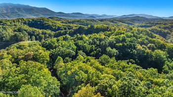 Lot 4 Deer Ridge Ln, Sevierville, TN 37876
