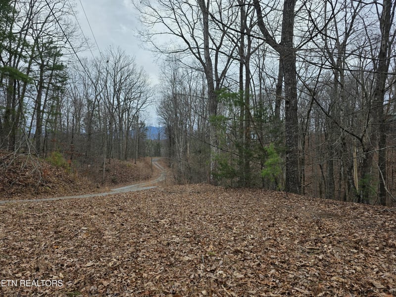 Lot 4 Deer Ridge Ln, Sevierville, TN 37876
