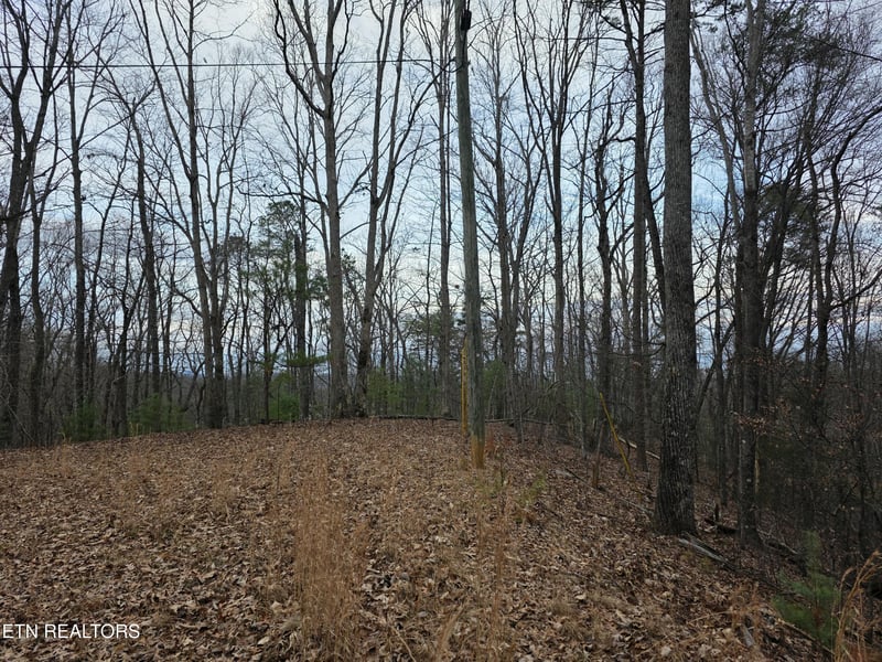 Lot 4 Deer Ridge Ln, Sevierville, TN 37876