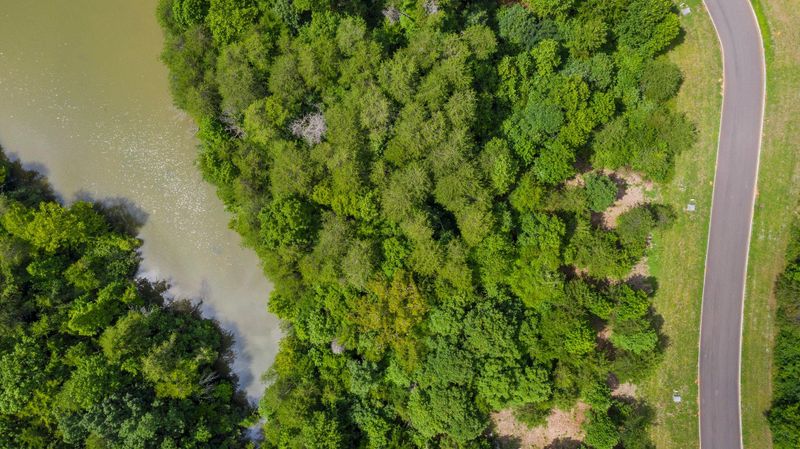Lot 4 Falcon Trl, Vonore, TN 37885