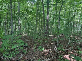 Lot 4 Hackworth Rd, Knoxville, TN 37931