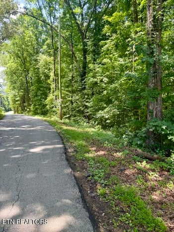 Lot 4 Hackworth Rd, Knoxville, TN 37931