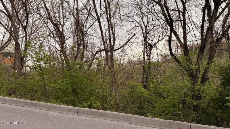 Lot 4 Hideaway Ridge Cir, Sevierville, TN 37862