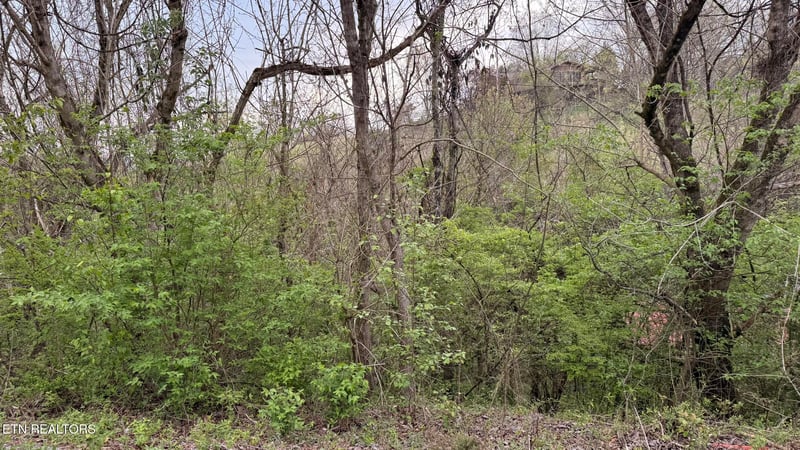 Lot 4 Hideaway Ridge Cir, Sevierville, TN 37862