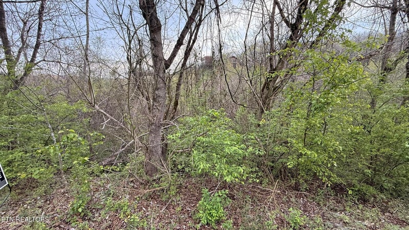 Lot 4 Hideaway Ridge Cir, Sevierville, TN 37862
