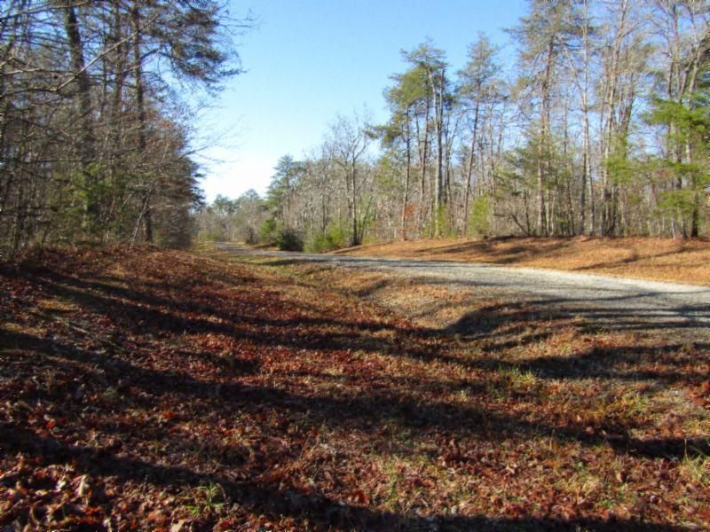 Lot 4 Mountain Ash Dr, Monterey, TN 38574