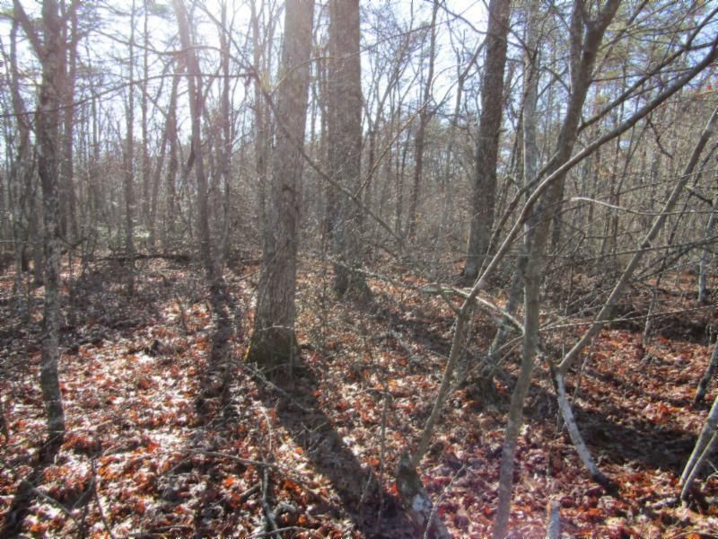 Lot 4 Mountain Ash Dr, Monterey, TN 38574