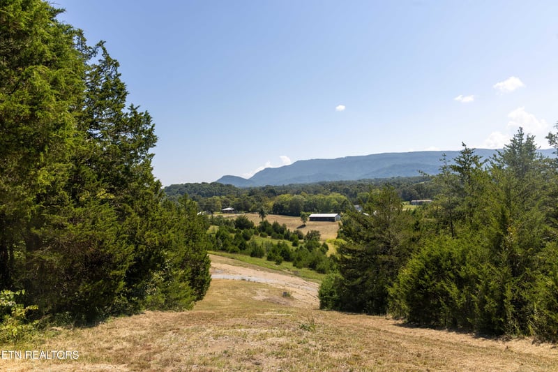 Lot 4 N Knob Creek Rd, Seymour, TN 37865