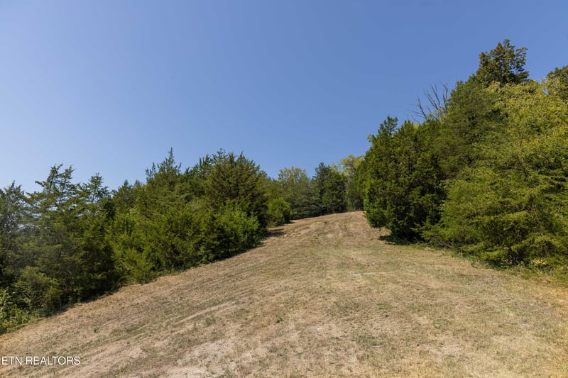 Lot 4 N Knob Creek Rd, Seymour, TN 37865