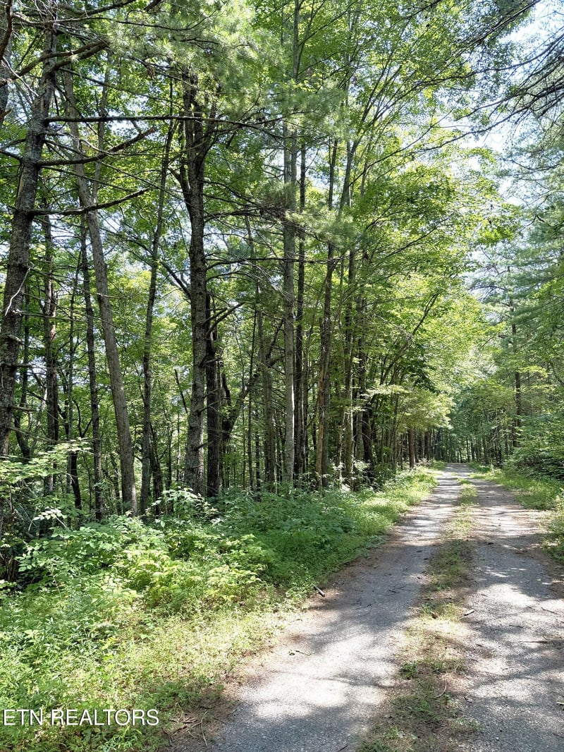 Lot 4 Oakwood Rd, Walland, TN 37886