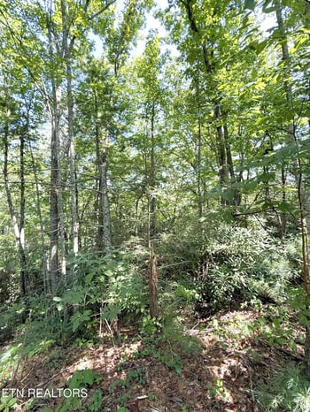 Lot 4 Oakwood Rd, Walland, TN 37886
