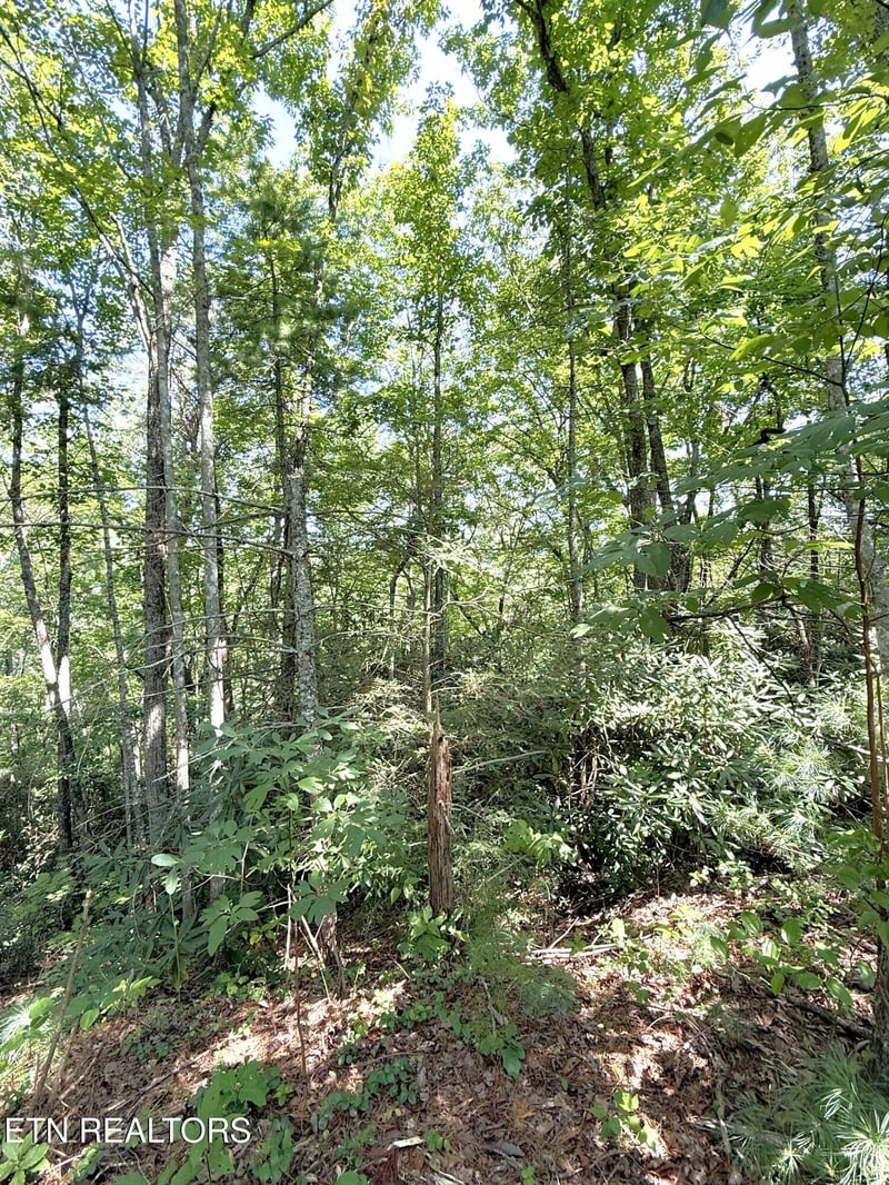 Lot 4 Oakwood Rd, Walland, TN 37886